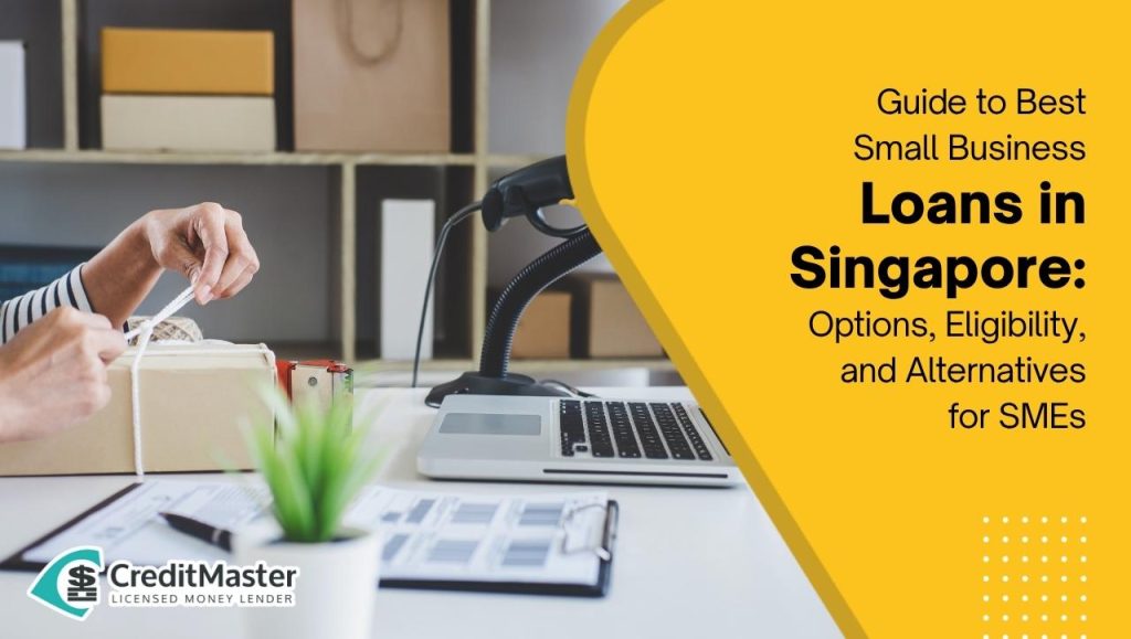 Small Business Loans Singapore (2025): Best Financing Options, Eligibility, and Government Support for SMEs